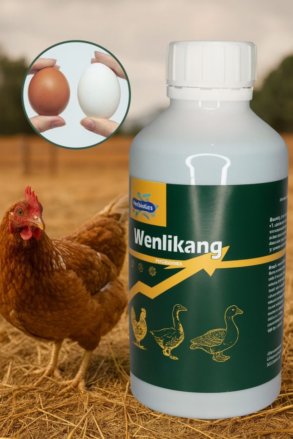 ЕРА ГІГАНТСЬКОГО ЯЙЦЯ